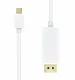 ProXtend USBC-DP-0005W