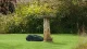 Bosch Indego S 500 #8