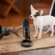 Audio-Technica AT2020USB-X #5