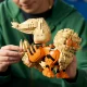 LEGO Arcanine #11
