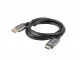 Lanberg CA-DPHD-20CU-0010-BK #2