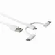 dbramante1928 CBX3A3WH7176 #3
