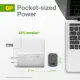 GP Batteries GaN PD #1