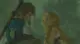 Nintendo The Legend of Zelda: Breath of the Wild, Switch #7