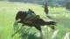 Nintendo The Legend of Zelda: Breath of the Wild, Switch #2