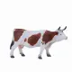 Mojo Fun Simmental Cow #3