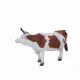 Mojo Fun Simmental Cow #2