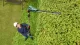 Bosch UniversalHedgePole 18 #4