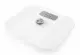 Witt 61650019