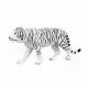 Mojo Fun White Tiger #4