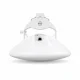 Ubiquiti WAVE-NANO-EU #11