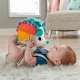 Fisher-Price HBP42 #5