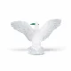 Papo Dove #5