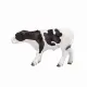 Mojo Fun Holstein Calf standing