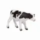 Mojo Fun Holstein Calf standing #3