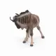 Papo Gnu #6