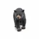 Papo American black bear #4