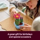 LEGO Botanicals Flowering Cactus #17