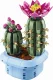 LEGO Botanicals Flowering Cactus #3