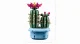LEGO Botanicals Flowering Cactus #7