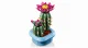 LEGO Botanicals Flowering Cactus #5