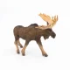 Papo Moose #2