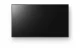Sony FW-50EZ20L #18