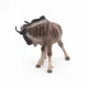 Papo Gnu #6