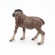 Papo Gnu #8