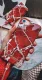 iDeal of Sweden Scarlet Red Marble #9