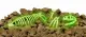 Kosmos Glow in the Dark T-Rex #2