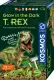 Kosmos Glow in the Dark T-Rex