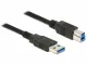 DeLOCK 85067