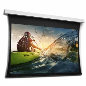 Neewer Tensioned DescenderPro