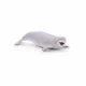 Papo Beluga Whale #7