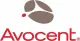 Vertiv Avocent 1 Year 12x5 Mnt/Silver DSView Standard Pack