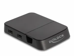 DeLOCK 88018