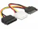 DeLOCK SATA/Molex + SATA