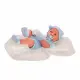 Muñecas Antonio Juan 50063