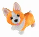 Lumo Stars Corgi Monty