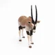 Papo Oryx Antelope #4
