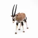 Papo Oryx Antelope #6