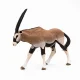 Papo Oryx Antelope #7