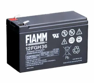FIAMM 12FGH36
