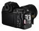 Nikon Z8 + NIKKOR 24-120/4 S #3