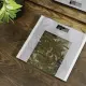 Cecotec Surface Precision Healthy #6