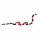 Mojo Fun Coral Snake #3