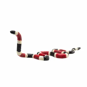 Mojo Fun Coral Snake