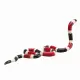 Mojo Fun Coral Snake #4