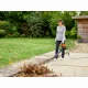 Black & Decker BEBLV300-QS #8
